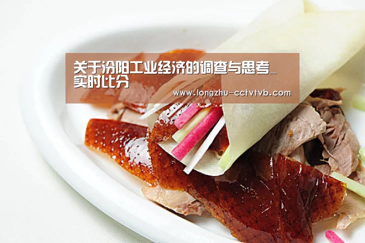 关于汾阳工业经济的调查与思考_ 实时比分(图3) 实时比分