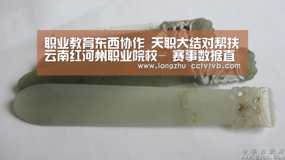 职业教育东西协作 天职大结对帮扶云南红河州职业院校- 赛事数据直播(图2) 龙珠体育app比分直播