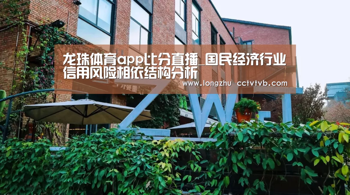 龙珠体育app比分直播_国民经济行业信用风险相依结构分析(图2) 实时比分