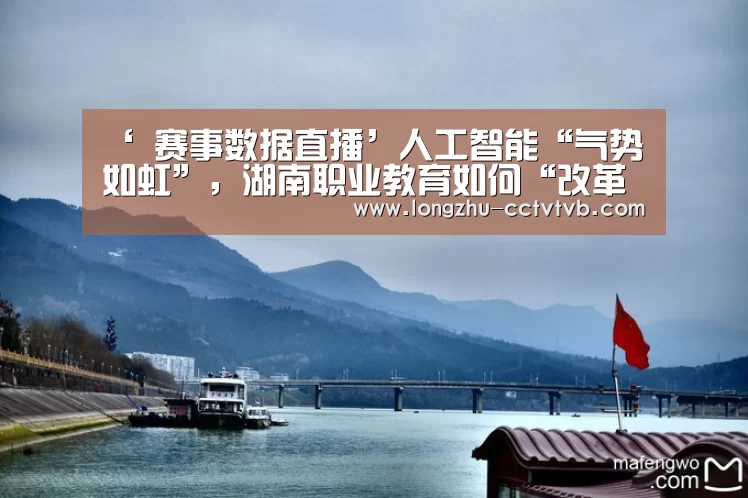  篮球直播