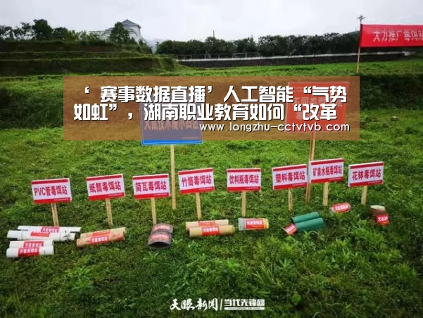 龙珠体育app比分直播