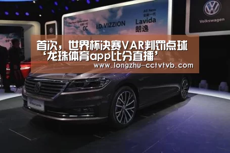 龙珠体育app比分直播