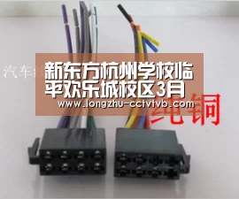 新东方杭州学校临平欢乐城校区3月3日盛大开业_龙珠体育app比分直播(图1) 实时比分