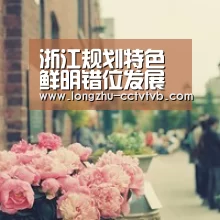  篮球直播