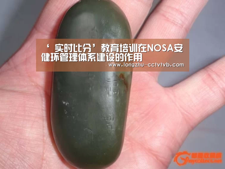 ‘ 实时比分’教育培训在NOSA安健环管理体系建设的作用(图1) 实时比分
