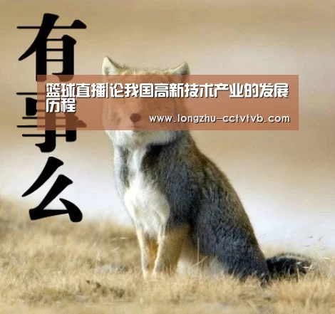 龙珠体育app比分直播