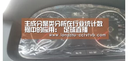 龙珠体育app比分直播