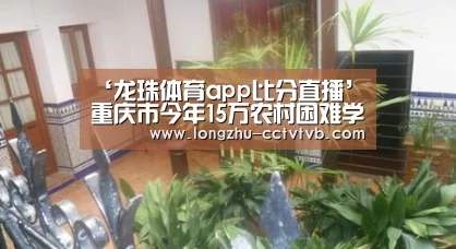  篮球直播