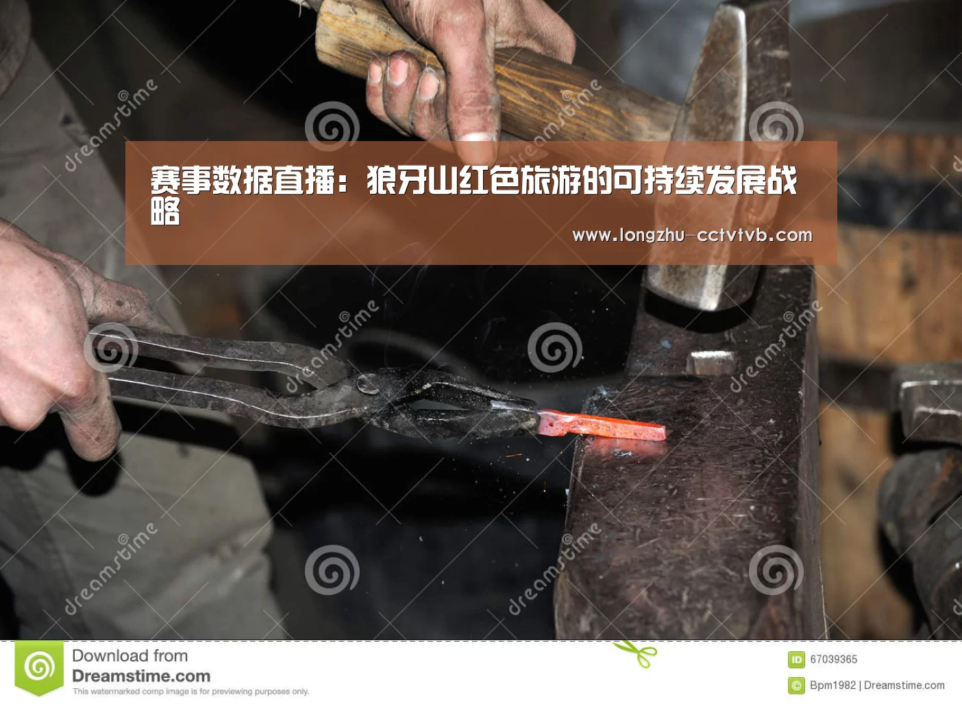 龙珠体育app比分直播