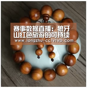  篮球直播