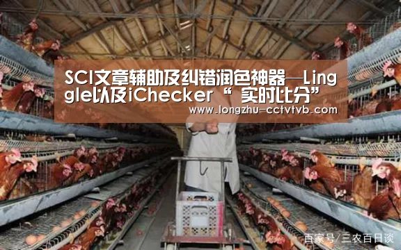  赛事数据直播