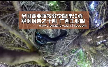 全国职业院校教学管理50强案例报告之十四 广西工业职业技术学院【龙珠体育app比分直播】(图2) 赛事数据直播