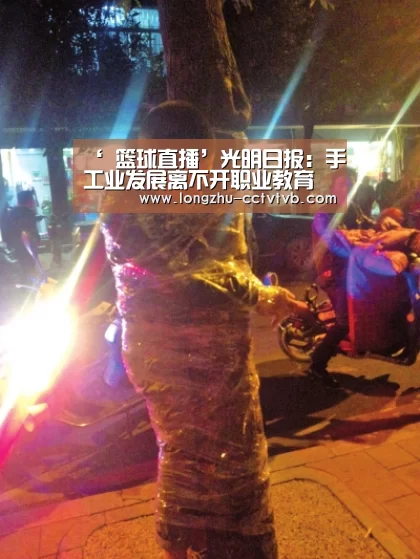 ‘ 篮球直播’光明日报:手工业发展离不开职业教育(图1) 足球直播