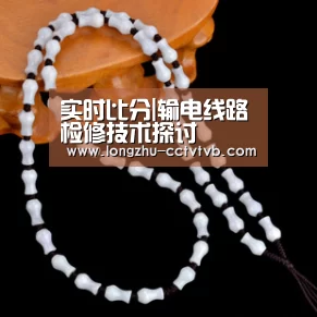 实时比分|输电线路检修技术探讨(图4) 足球直播