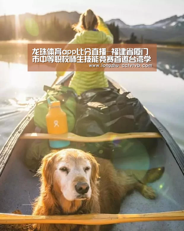 龙珠体育app比分直播-福建省厦门市中等职校师生技能竞赛首邀台湾学生参赛(图3) 龙珠体育app比分直播