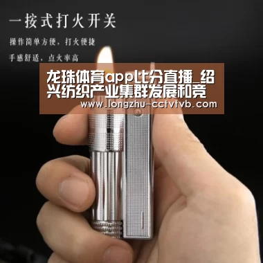 龙珠体育app比分直播_绍兴纺织产业集群发展和竞争力提升的对策(图3) 赛事数据直播