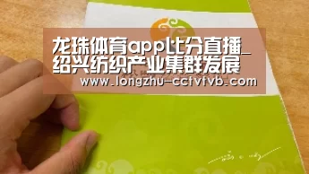 龙珠体育app比分直播_绍兴纺织产业集群发展和竞争力提升的对策(图2) 篮球直播