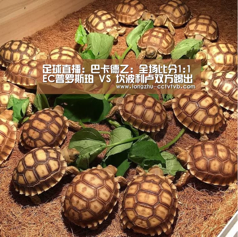 足球直播:巴卡德乙: 全场比分1:1 EC普罗斯珀 VS 坎波利卢双方踢出平局(图3) 龙珠体育app比分直播