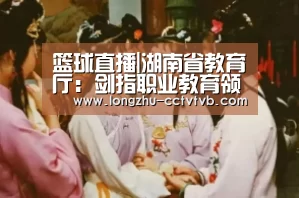 篮球直播|湖南省教育厅:剑指职业教育领域的“微腐败”问题(图3) 赛事数据直播