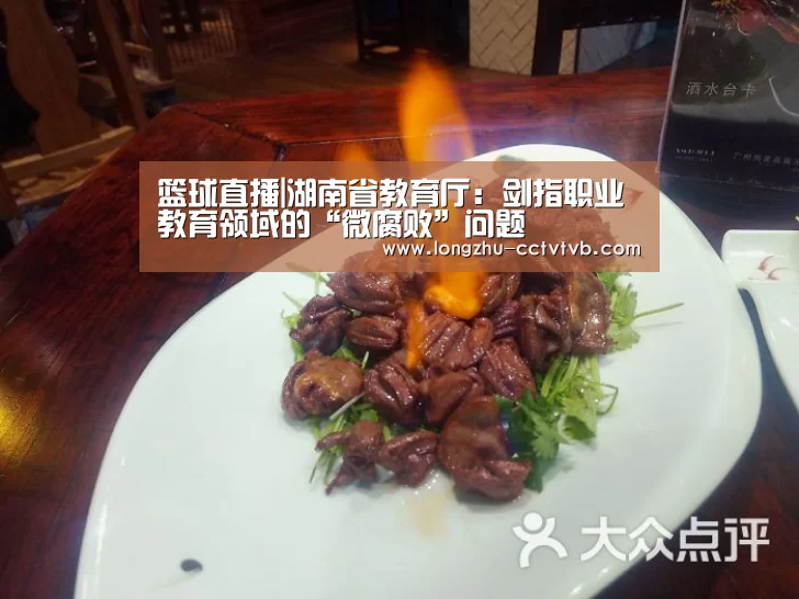 篮球直播|湖南省教育厅:剑指职业教育领域的“微腐败”问题(图2) 篮球直播